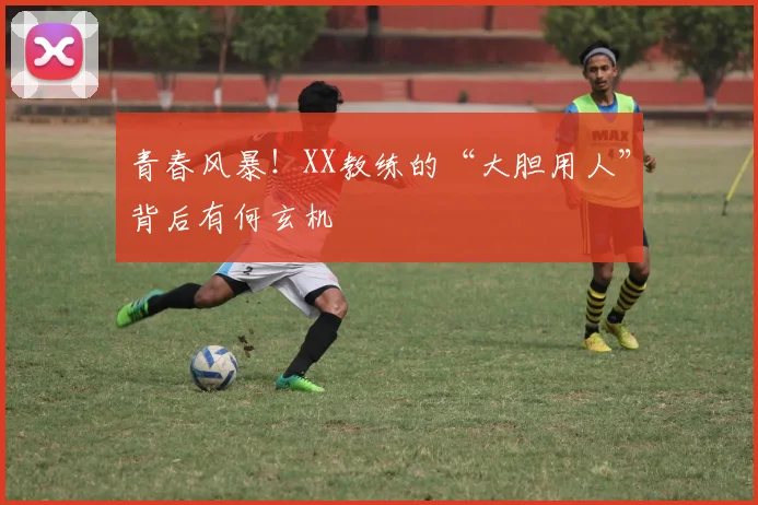 青春风暴！XX教练的“大胆用人”背后有何玄机