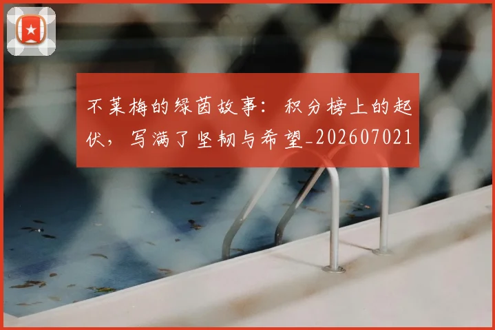 不莱梅的绿茵故事：积分榜上的起伏，写满了坚韧与希望_20260702175352