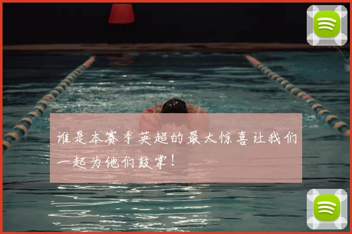 谁是本赛季英超的最大惊喜让我们一起为他们鼓掌!